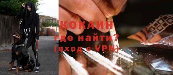 твердый Бронницы