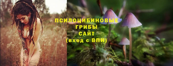 твердый Бронницы