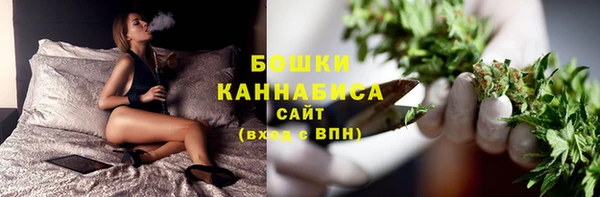 apvp Бородино