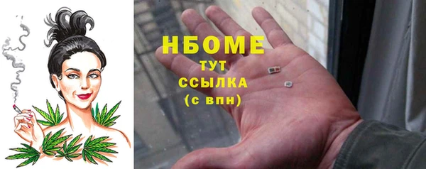 apvp Бородино