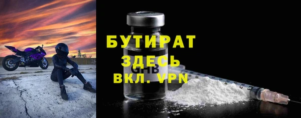 apvp Бородино