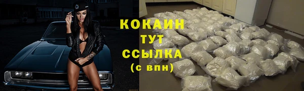 mix Кодинск