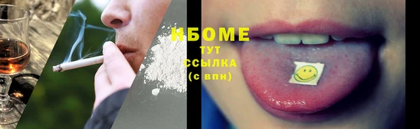 apvp Бородино