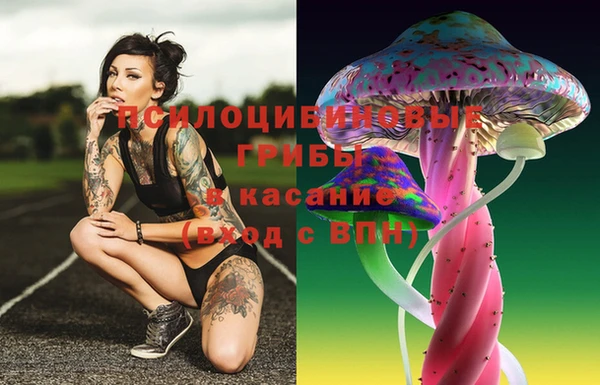 mix Кодинск