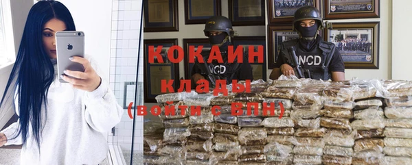 apvp Бородино