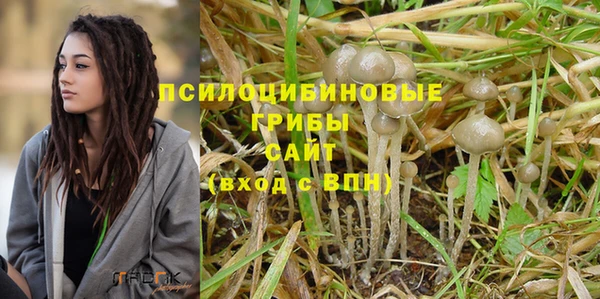 apvp Бородино