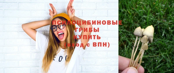 твердый Бронницы