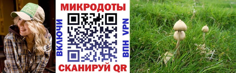 Псилоцибиновые грибы мицелий  купить наркотик  Новочеркасск 