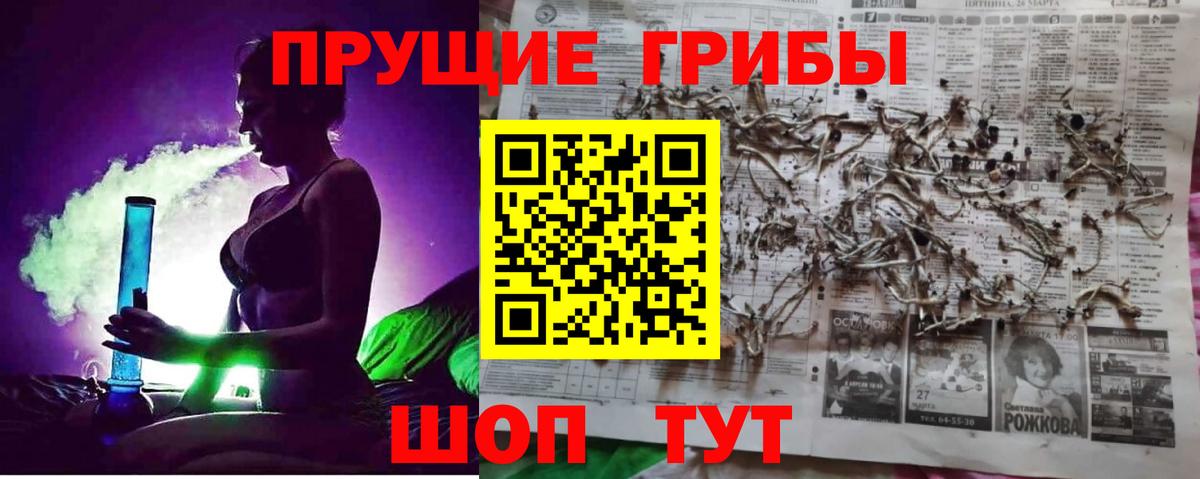 Галлюциногенные грибы Psilocybine cubensis  Вход с VPN  Псилоцибиновые грибы Psilocybe  Новочеркасск 