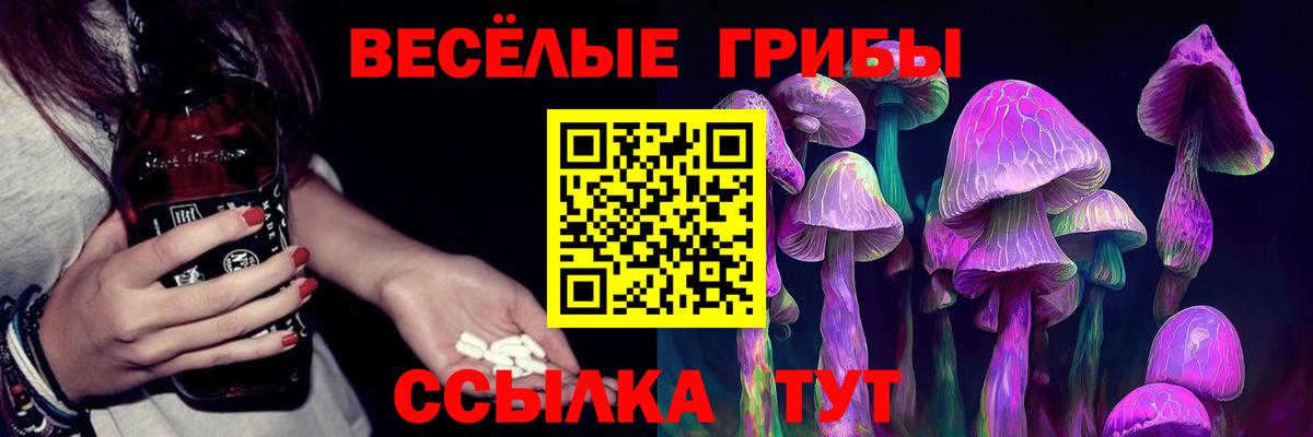Псилоцибиновые грибы Magic Shrooms Новочеркасск
